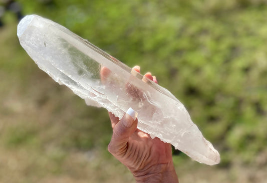 Lemurian Seed Quartz Crystal | Ancient Wisdom | Record Keepers |Phantasmagoric Rainbows | 1.528 kg