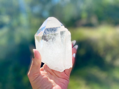 Pleiadian Starbrary Lemurian Seed Time Keeper Tantric Twin with Rainbows AAA Grade 581 Grams