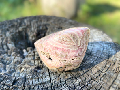 Natural Rhodochrosite Freeform | AAA Grade | Highly Polished | Argentina |Heart Chakra | 201 Grams