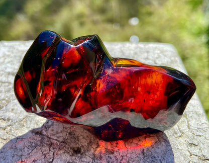 Rare Red Fire Baltic Amber: Ancient Inclusions, Collector's Gem