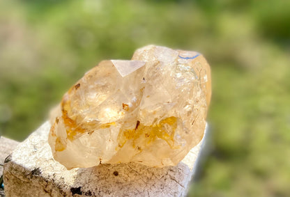 Lemurian Golden Healer Fenster Quartz with Enhydro | Self-Healed Elestial Tip • Pure Light • High Vibrational | 351 g