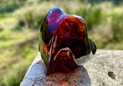 Rare Red Fire Baltic Amber with Ancient Organic Inclusions: Collector's Gem