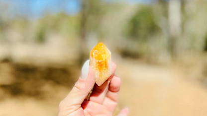 Citrine Double Terminated Wand