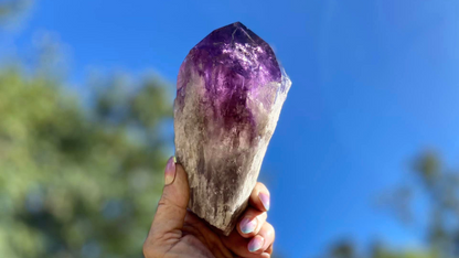 Dragon Tooth Amethyst and Ametrine Quartz Phantom Natural Point