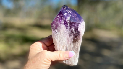 Dragon Tooth Amethyst and Ametrine Quartz Phantom Natural Point