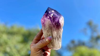 Dragon Tooth Amethyst and Ametrine Quartz Phantom Natural Point