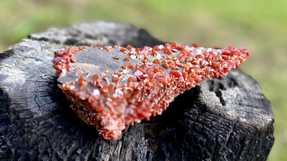 Vanadinite Cluster Museum Quality