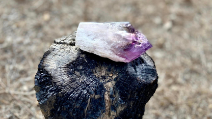 Dragon Tooth Amethyst Quartz with Smoky Quartz Phantom Standing Natural Point