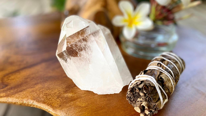 Pleiadian Starbrary Lemurian Seed Time Keeper Tantric Twin with Rainbows AAA Grade 581 Grams