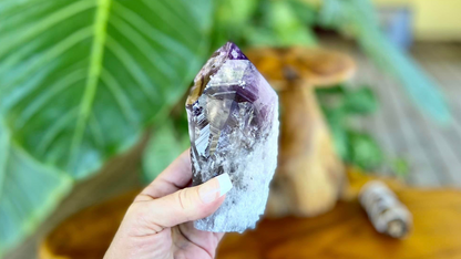 Dragon Tooth Amethyst Quartz with Smoky Quartz Phantom Standing Natural Point