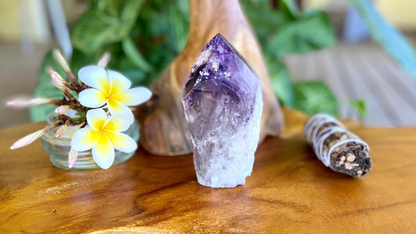 Dragon Tooth Amethyst Quartz with Smoky Quartz Phantom Standing Natural Point