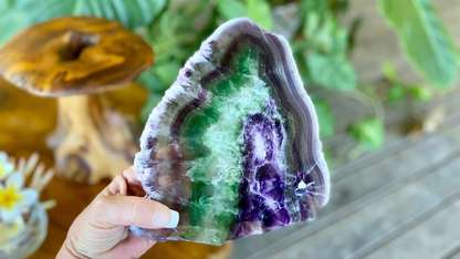 Rainbow Fluorite Crystal Rainbow Fluorite Slab | Intuition + Clarity + Balance | Third Eye Chakra | 919 Grams