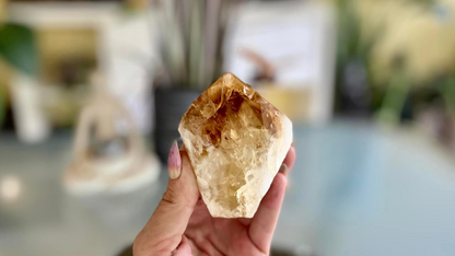 Citrine Cut Base Polished Point Generator