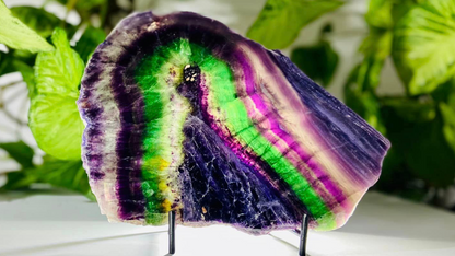 Rainbow Fluorite Crystal Rainbow Fluorite Slab | Intuition + Clarity + Balance | Third Eye Chakra |1084 Grams