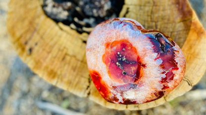 Carnelian Heart Altar Stone 'Vitality and Energy"