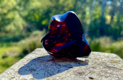 Rare Red Fire Baltic Amber with Ancient Organic Inclusions: Collector's Gem