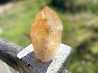 Citrine Cut Base Polished Point Generator
