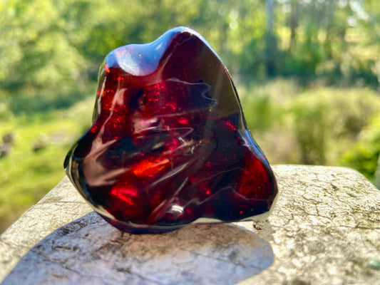 Rare Red Fire Baltic Amber with Ancient Organic Inclusions: Collector's Gem