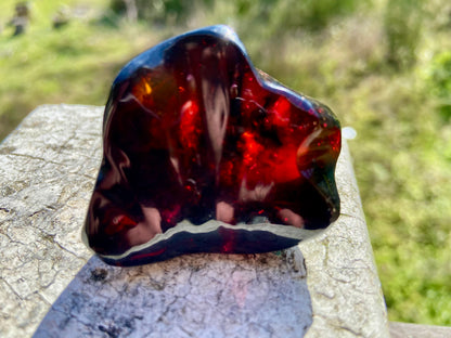 Rare Red Fire Baltic Amber with Ancient Organic Inclusions: Collector's Gem