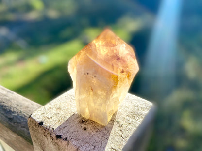 Citrine Cut Base Polished Point Generator
