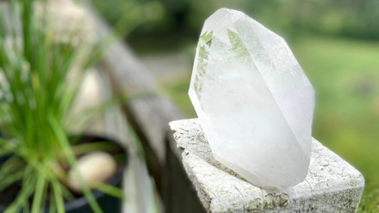 Lemurian Seed Quartz Tantric Twin Cathedral Timekeeper