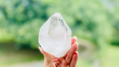 Lemurian Seed Quartz Tantric Twin Cathedral Timekeeper