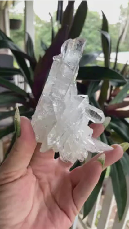 ET Lemurian Seed Quartz Channeler Scepter AAA Grade