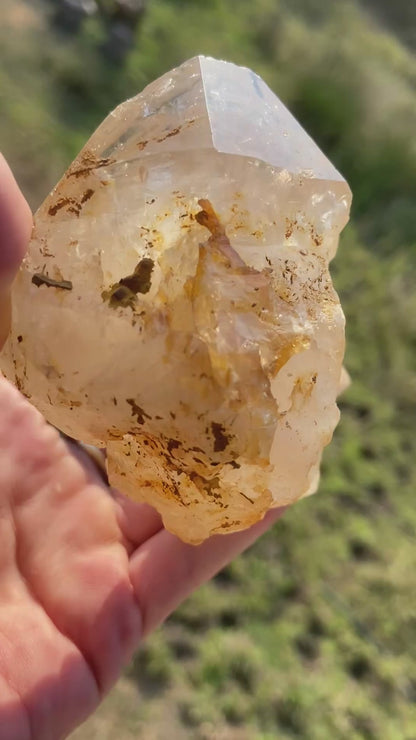 Lemurian Golden Healer Fenster Quartz with Enhydro | Self-Healed Elestial Tip • Pure Light • High Vibrational | 351 g