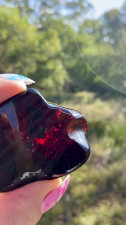 Rare Red Fire Baltic Amber with Ancient Organic Inclusions: Collector's Gem