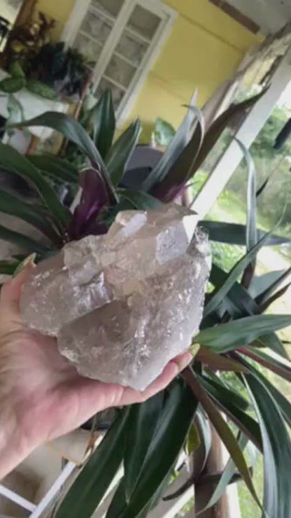Smokey Citrine Lemurian Seed Quartz Standing Phantom Dolphin Cluster