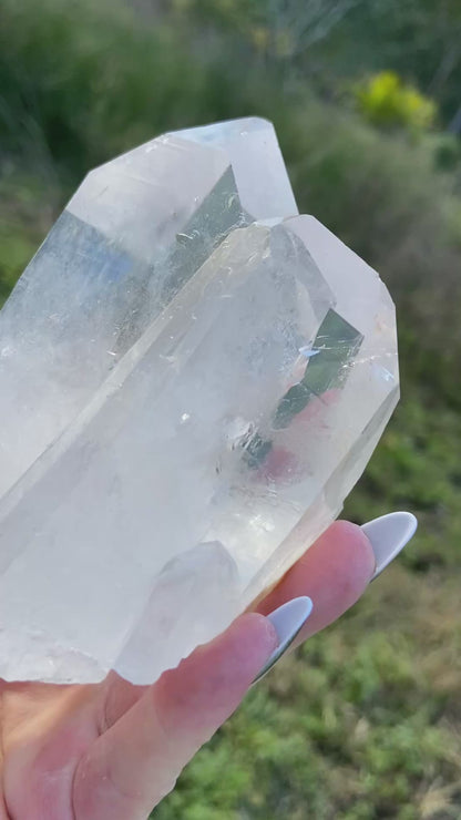 Pleiadian Starbrary Lemurian Seed Time Keeper Tantric Twin with Rainbows AAA Grade 581 Grams