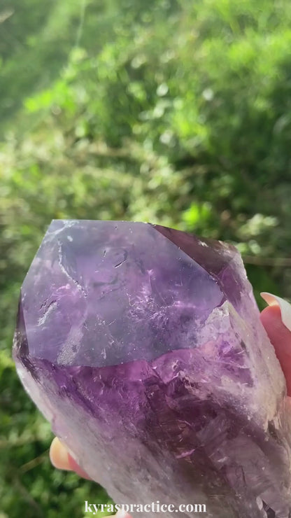 Dragon Tooth Amethyst and Ametrine Quartz Phantom Natural Point