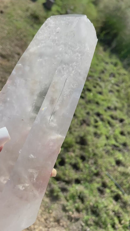Lemurian Seed Quartz Crystal | Ancient Wisdom | Record Keepers |Phantasmagoric Rainbows | 1.528 kg