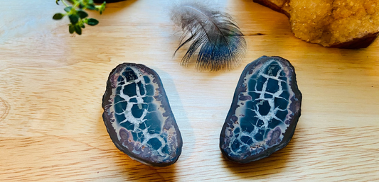 Septarian Nodules Pair